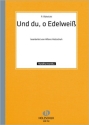 UND DU O EDELWEISS OP.15,1 FUER HANDHARMONIKA (MIT 2.STIMME) HOLZSCHUH, A., BEARB.