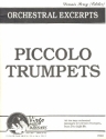Orchestral Excerpts for piccolo trumpet