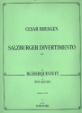 SALZBURGER DIVERTIMENTO FUER FLOETE, KLARINETTE, OBOE, FAGOTT UND HORN STIMMEN  (1965)