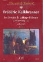 Les soupirs de la harpe eolienne 2 nocturnes op.121 per pianoforte Schiavina, A., Rev.