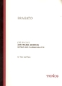 Ave Maria andina fr Gesang und Klavier
