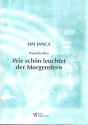Tripartia ber 'Wie schn leuchtet der Morgenstern'  fr Orgel