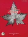 The best of Adiemus (+CD) for flute/recorder