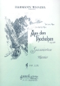 Aus den Hochalpen op.309 fr Klavier V E R L A G S K O P I E