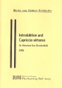 Introduktion und Capriccio virtuoso fr Akkordeon-Duo (Standardbass) 2 Stimmen