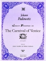 CONCERT VARIATIONS ON THE CARNIVAL OF VENICE FOR 2 GUITARS PARTS