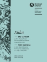 3 Kadenzen zum Konzert C-Dur KV299 für Flöte, Harfe und Orchester für Flöte und Harfe