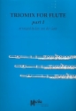 Triomix vol.1 for 3 flutes score