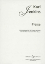 Praise fr Mnnerchor (TTBB) und Klavier (Orgel) Chorpartitur