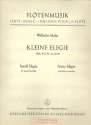 Kleine Elegie  fr Flte solo