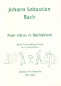Puer natus in Bethlehem fr 4-5 Blockflten,  Partitur und Stimmen Musik fr die Weihnachtszeit