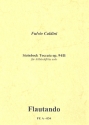 Steinbock-Toccata op.94b fr Altblockflte