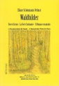 Waldbilder 4 Charakterstcke fr Klavier