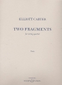 2 Fragments for string quartet parts