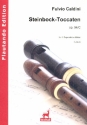 Steinbock-Toccaten op.94c fr 2 Sopranblockflten Partitur und Stimmen
