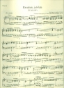 Exsultate jubilate KV165 fr Sopran und Orchester Orgel
