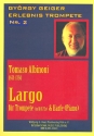 Largo für Trompete und Harfe (Klavier)
