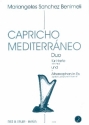 Capricho mediterraneo fr Harfe und Altsaxophon
