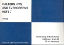 Halters Hits and Evergreens Band 7: fr Blasorchester Gitarre