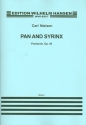 Pan and Syrinx op.49 for orchestra score