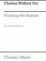 PLUCKING THE RUSHES FOR VOICE AND PIANO V E R L A G S K O P I E