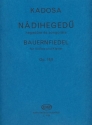 BAUERNFIEDEL OP.16F FUER VIOLINE UND KLAVIER