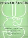 Schule der Bogentechnik op.2,2 fr Violine