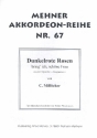 Dunkelrote Rosen bring' ich, schne Frau: fr Akkordeon und Gesang Einzelausgabe