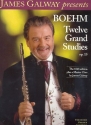 12 grand studies op.15 for flute