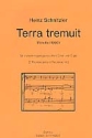 Terra tremuit Motette (1990) fr gem Chor und Orgel, 2 Trompete und Pauke ad lib Partitur