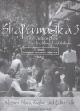Straenmusik a 3 - Klezmer, Blues, Ragtime und Latin-Folk  fr 3 Violinen und Bc Bastimme (Vc, Kb, Fag)