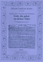 Gott du gabst zu deiner Ehre - Kantate fr Sopran, Chor, 2 Flten, Streicher und Bc Partitur