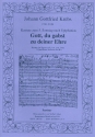 Gott du gabst zu deiner Ehre - Kantate fr Sopran, Chor, 2 Flten, Streicher und Bc Partitur