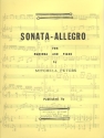 Sonata-Allegro for marimba and piano