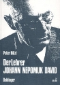 Der Lehrer Johann Nepomuk David  