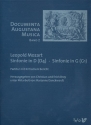 Sinfonie D-Dur und Sinfonie G-Dur fr Kammerorchester,  Partitur und kritischer Bericht Documenta Augustana Musica Band 2