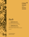 Lass Frstin lass noch einen Strahl Kantate Nr.198 BWV198 Harmonie