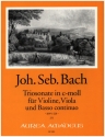 Triosonate c-Moll BWV528 fr Violine, Viola und Bc