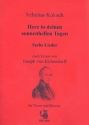 6 Lieder nach Texten von Josef von Eichendorff fr Tenor und Klavier