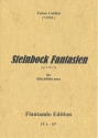 Steinbock-Fantasien op.116a fr Sopranblockflte