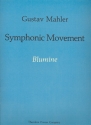 Blumine Symphonic Movement for orchestra score