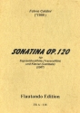 Sonatina op.120 fr Sopranblockflte und Klavier