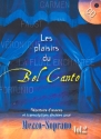Les Plaisirs du Bel Canto Vol.2 (+CD) pour mezzo-soprano et piano
