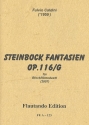 Steinbock Fantasien op.116g fr 2 Blockflten (ST) 2 Spielpartituren