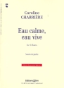 Eau calme, Eau vive for 3 flutes score+parts