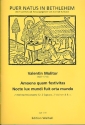 2 Weihnachtskonzerte fr 2 Soprane 2 Violinen und Bc 3 Partituren und Stimmen