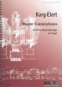 Wagner-Transkriptionen fr Orgel