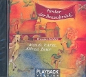 Hinter der Donaubrck' Playback-CD