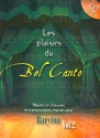 Les Plaisirs du Bel Canto vol.2 (+CD) pour baryton et piano