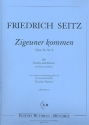 Zigeuner kommen op.16,4 fr Violine und Klavier